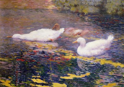 Ducks on a River by Elysee Visconti